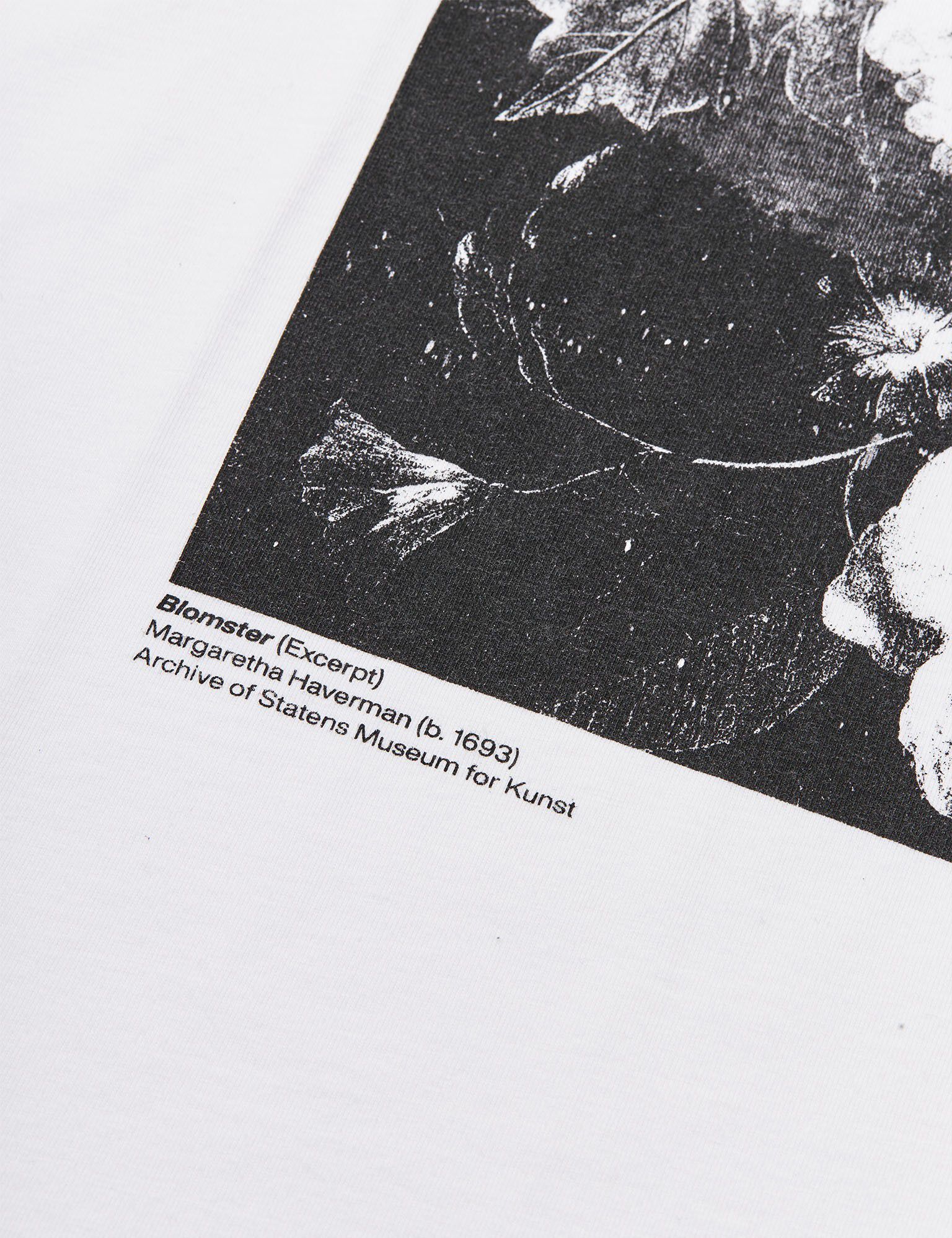 Cotton Jersey Print Frode Tee
