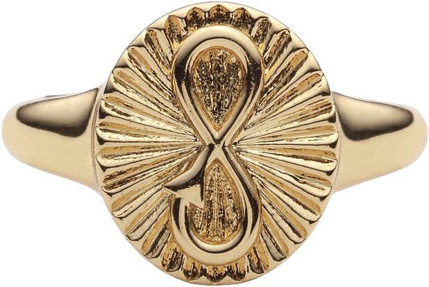Infinity Signet Ring