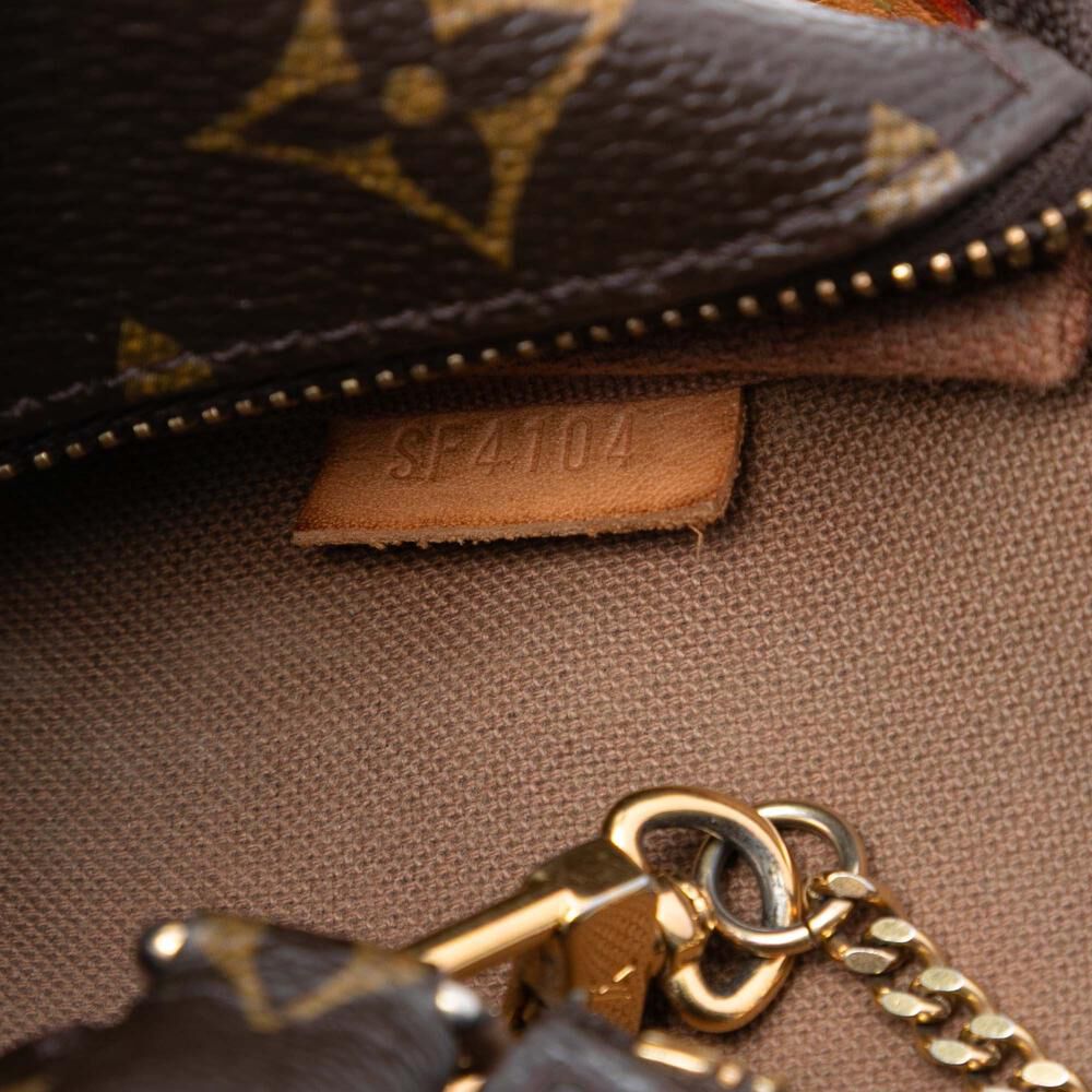 Louis Vuitton Pochette Accessoires