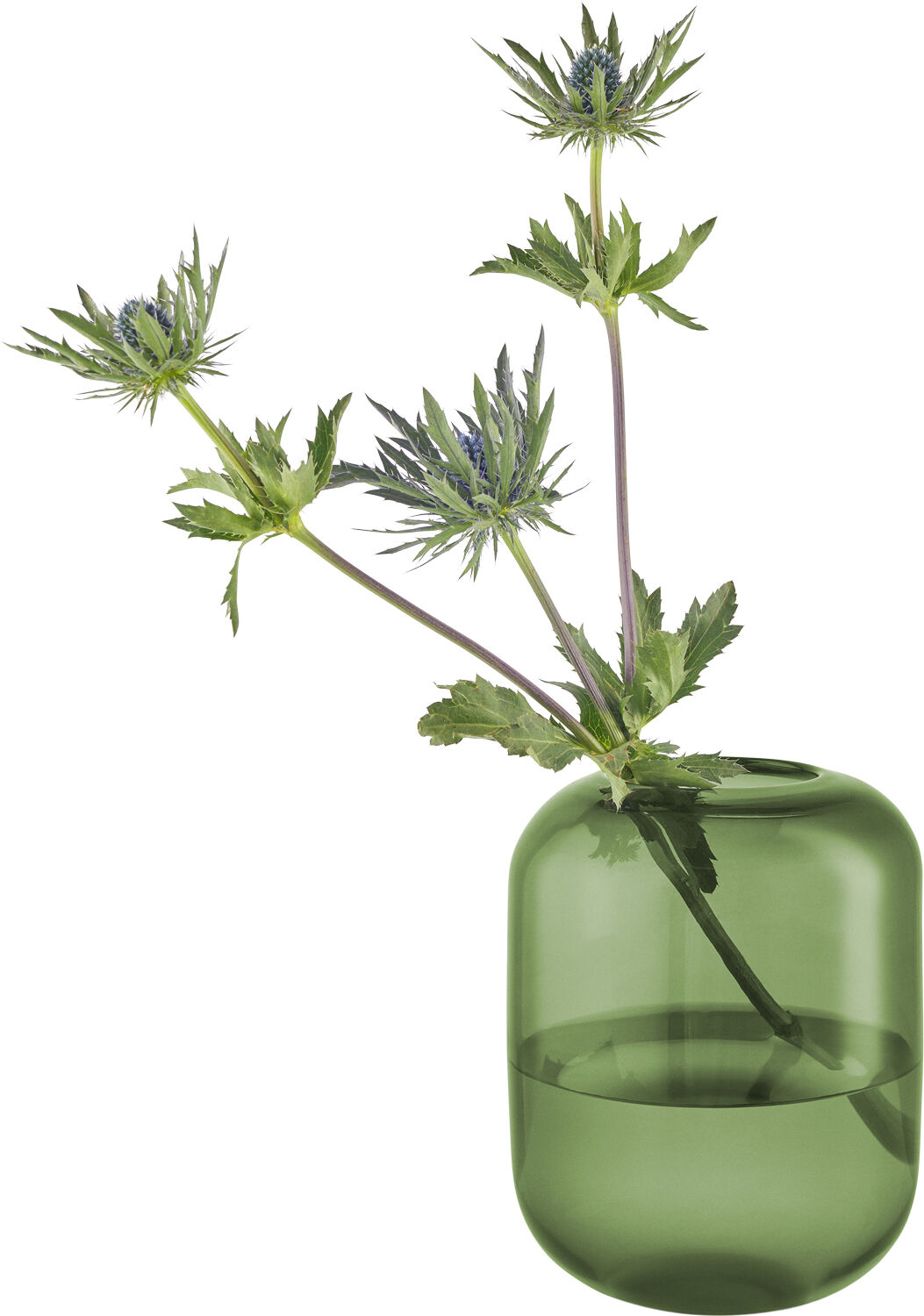 Acorn vase H16,5 Pine