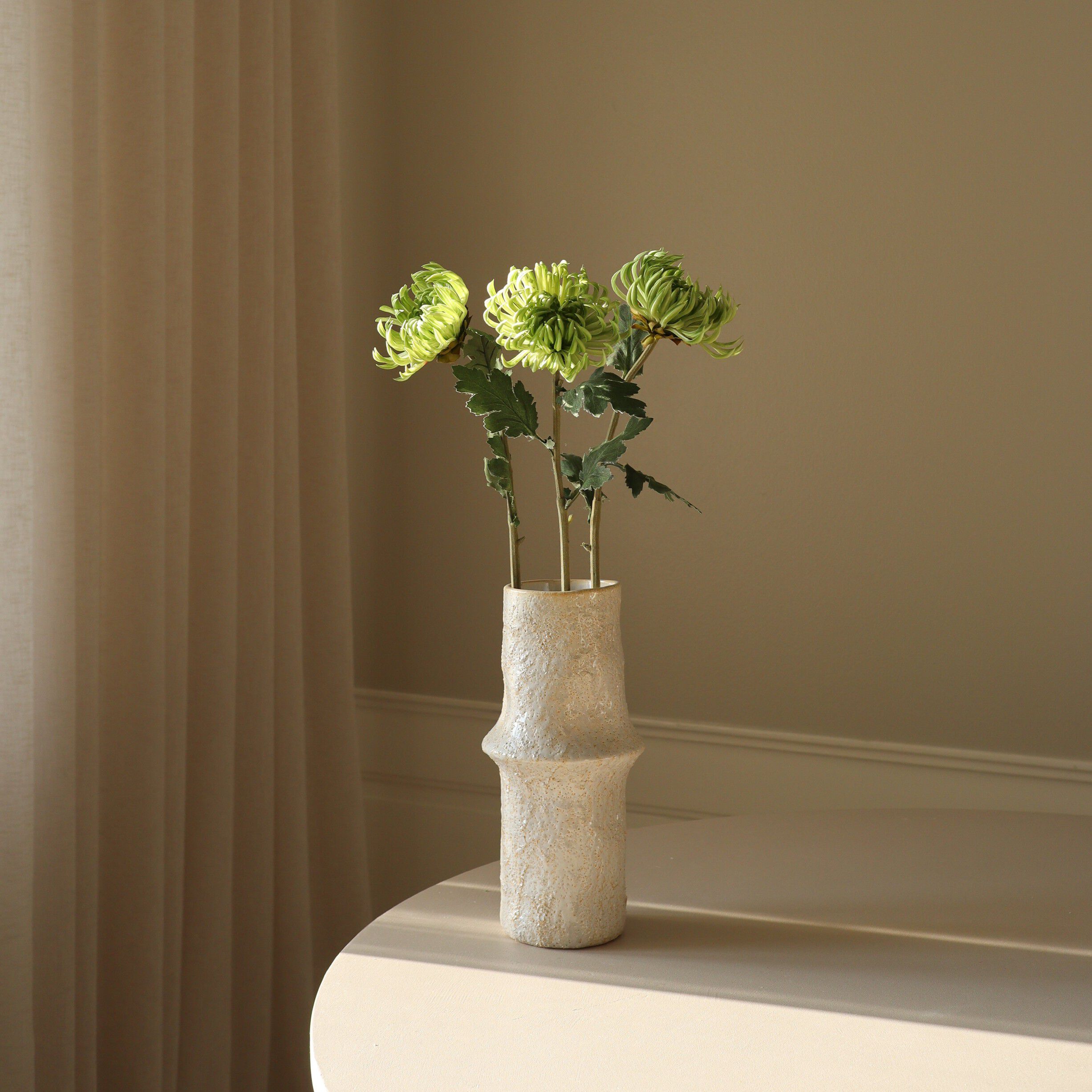 Semi-Cactus Dahlia Flower