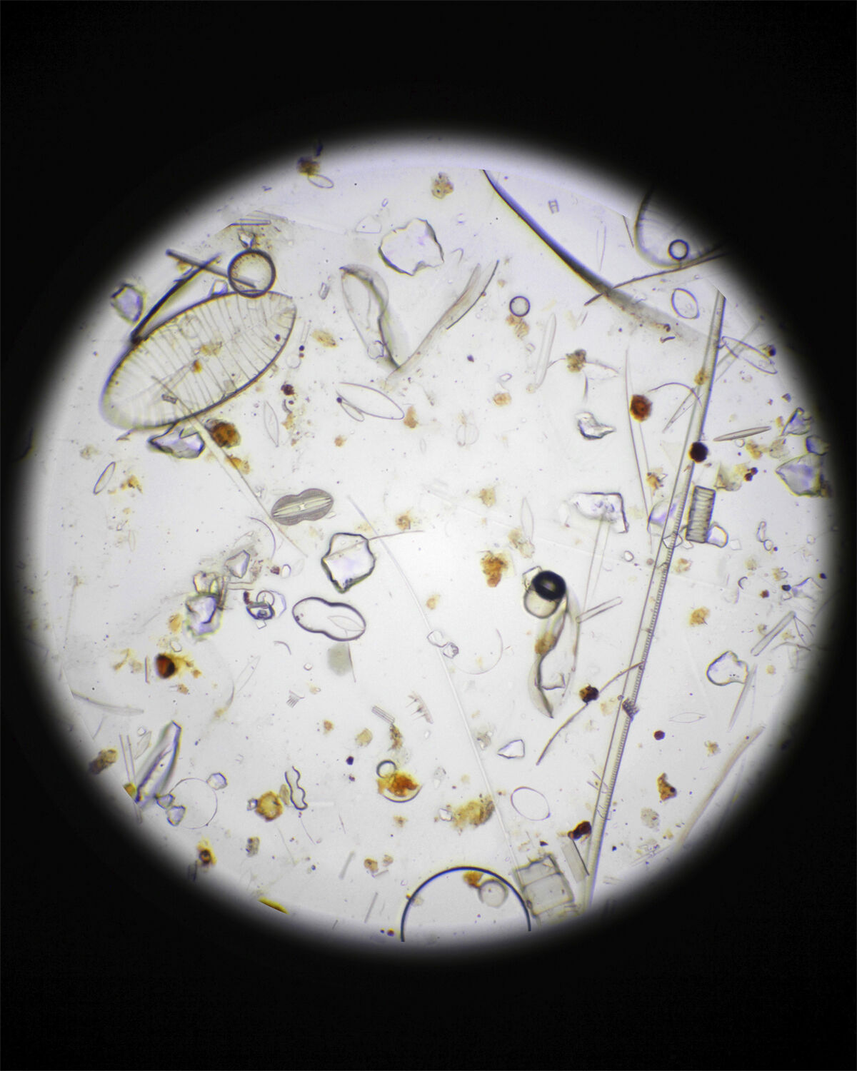 281 Protective Fluid CosN