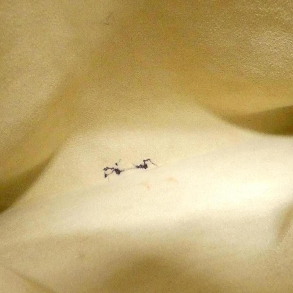 Louis Vuitton Hampstead