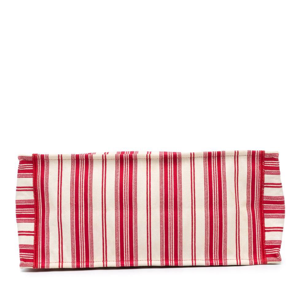 Dior Book Tote
