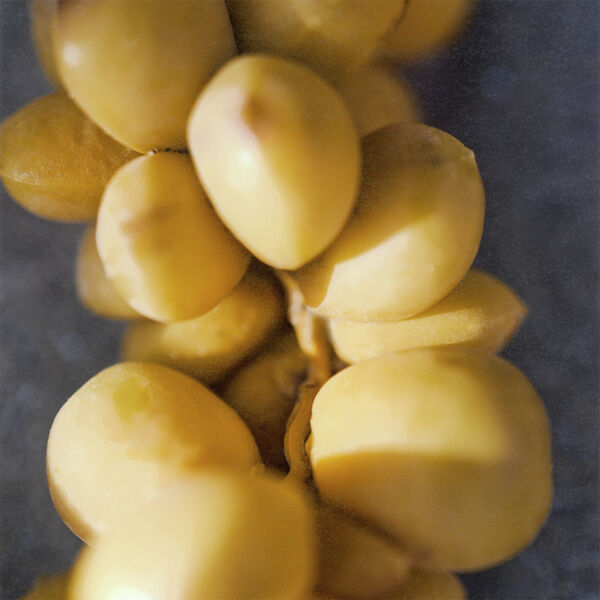 CHLOÉ Nomade Naturelle Eau de parfume