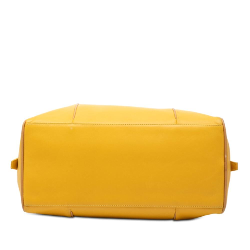 Loewe Handbag
