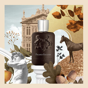 **PDM PEGASUS EXCLUSIF MAN EDP 125