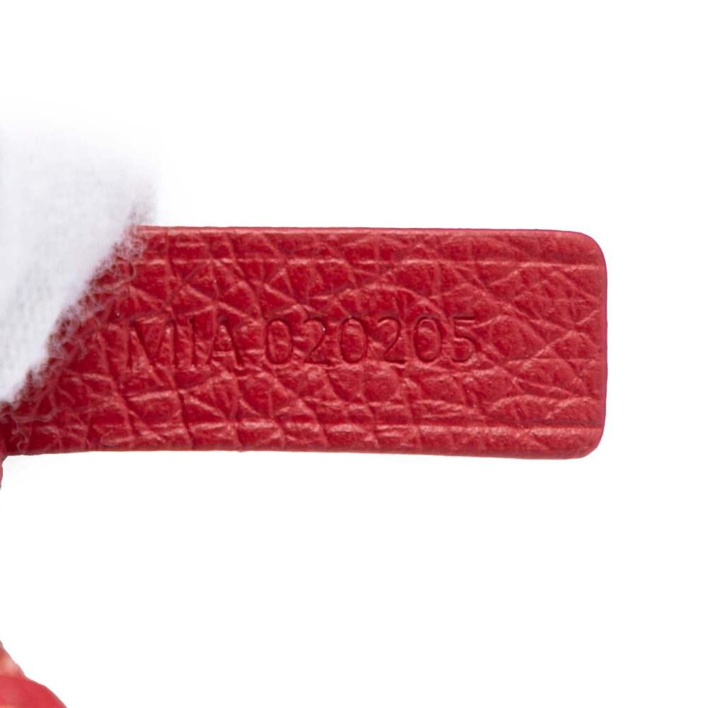 Goyard St Louis Tote