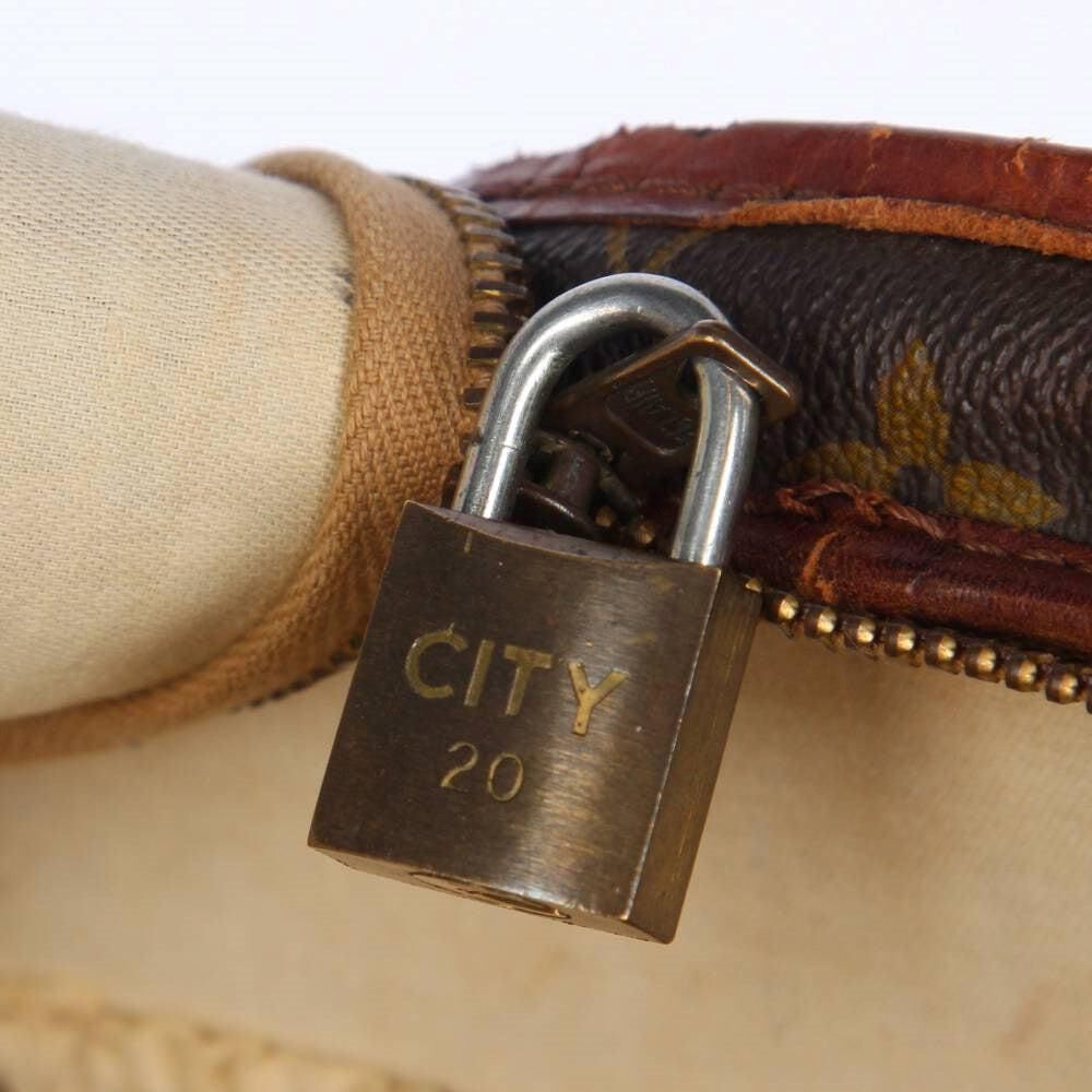 Louis Vuitton Handbag