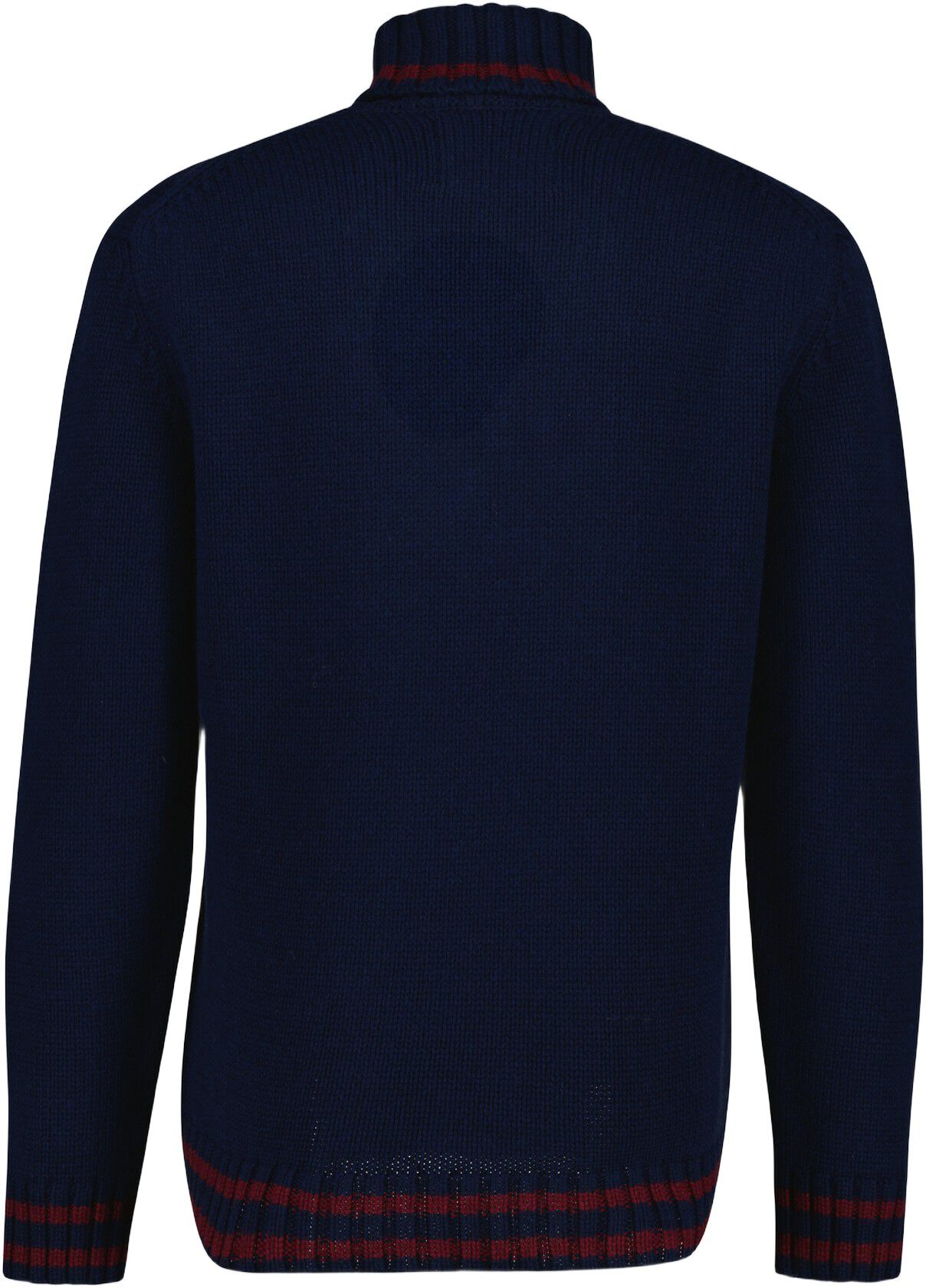 GRAPHIC ROLLNECK