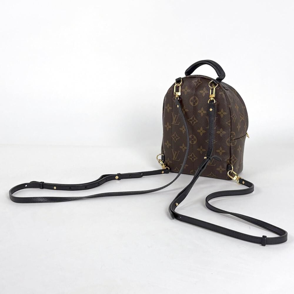 Louis Vuitton Palm Springs