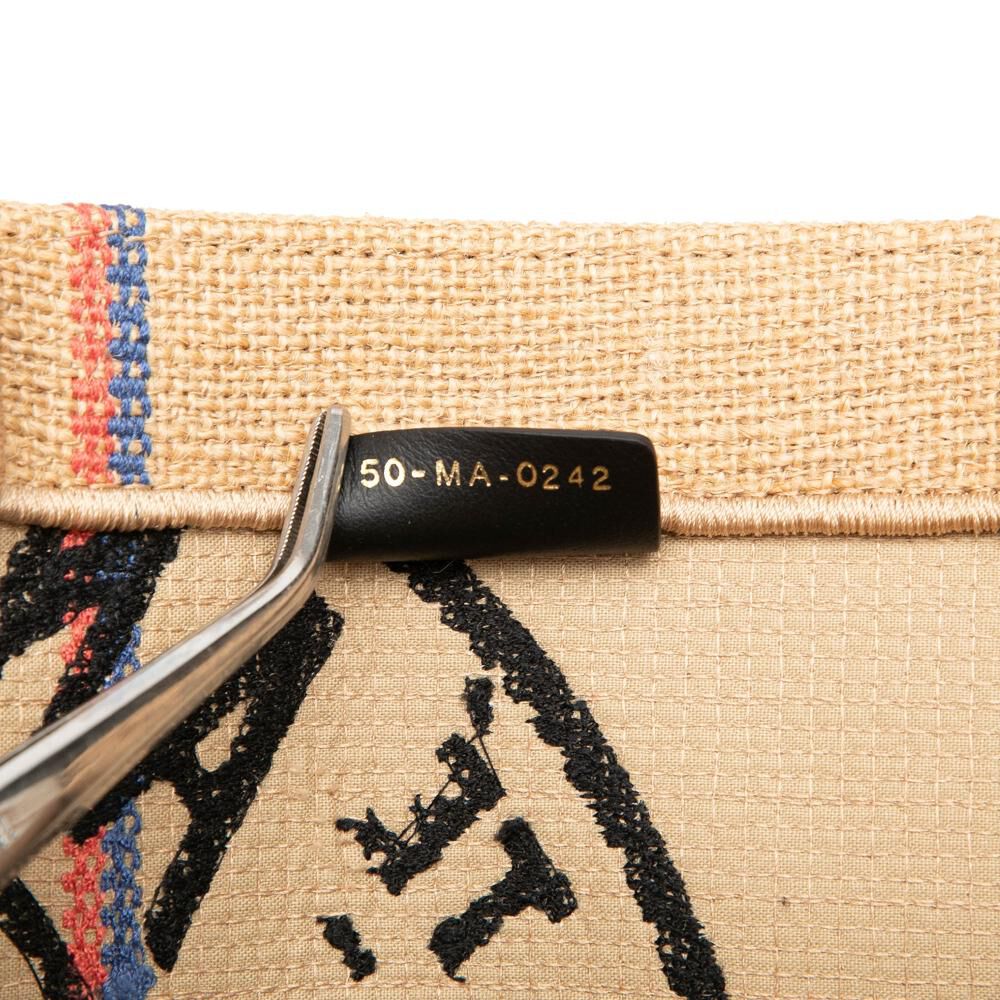 Dior Book Tote