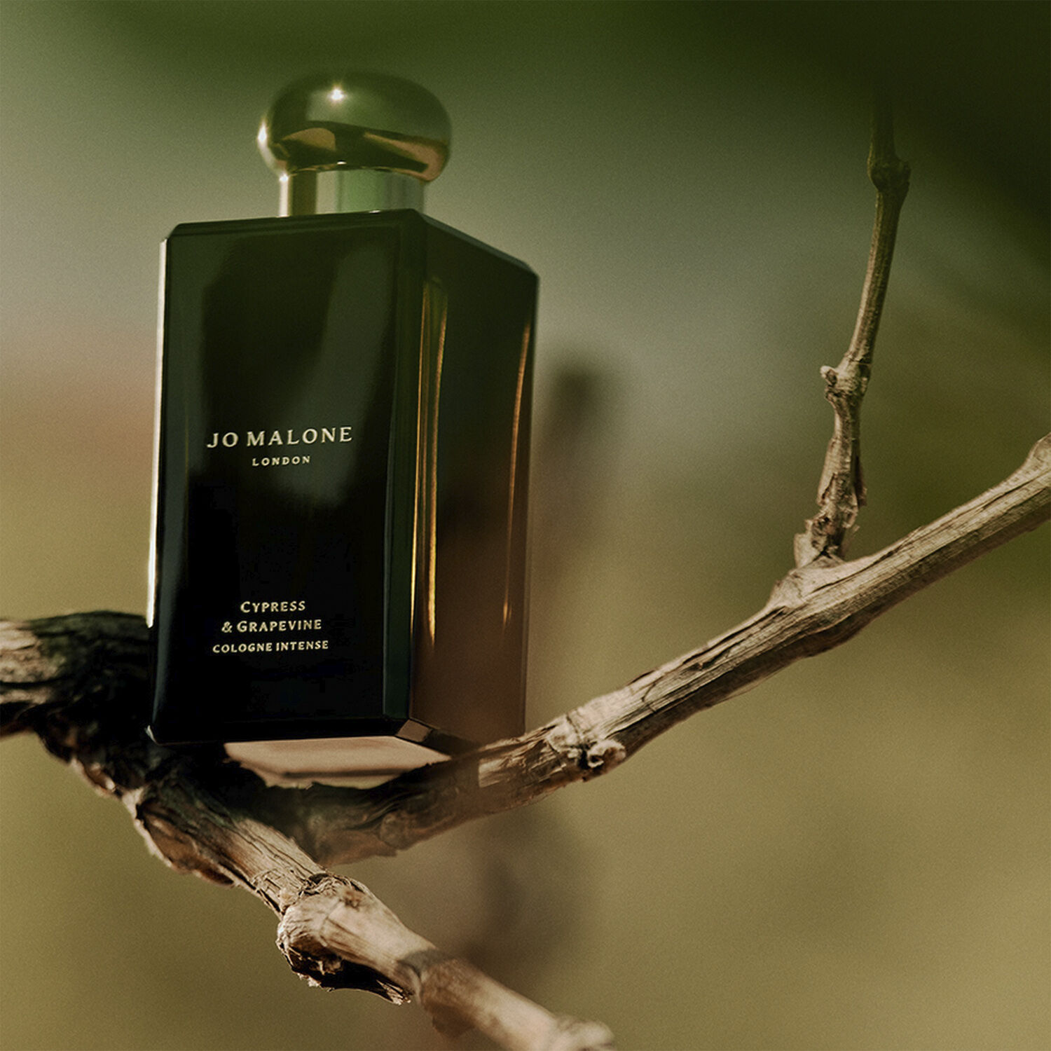 Cypress & Grapevine Cologne Intense