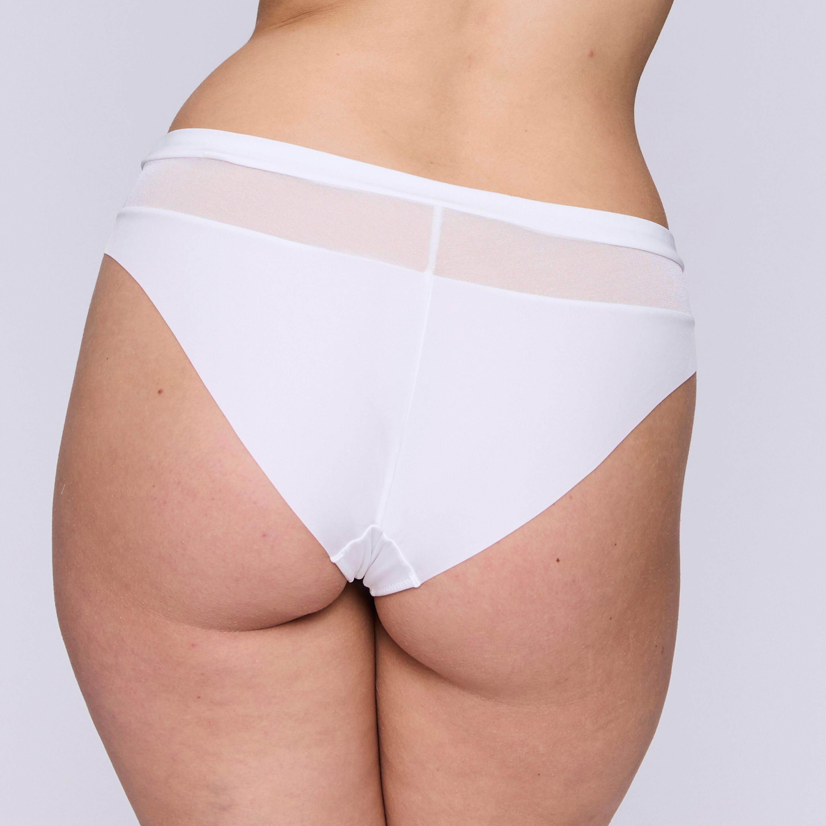 Sophora rio briefs