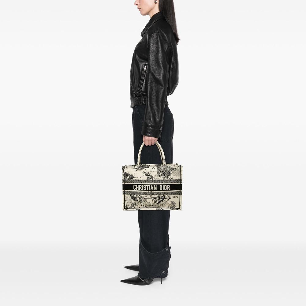 Dior Book Tote