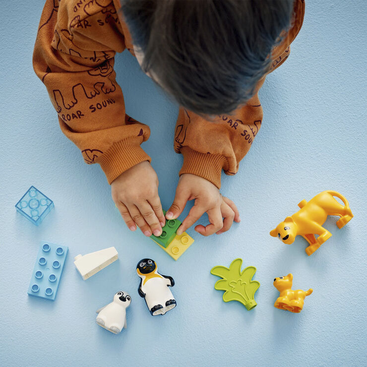 Vilde dyrefamilier pingviner og løver 10442