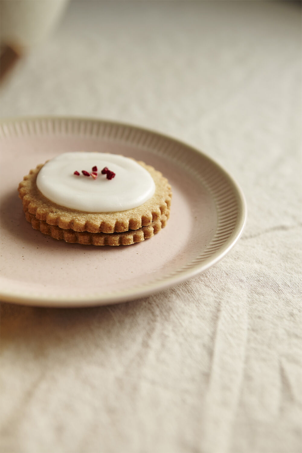 Colorit tallrik &Oslash; 19 cm rose