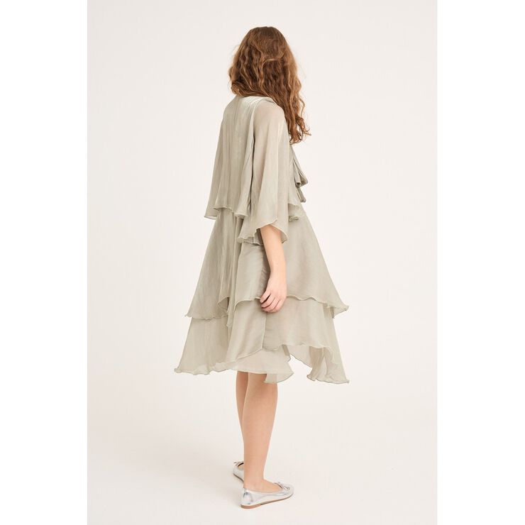 Demi 3/4 sleeve dress
