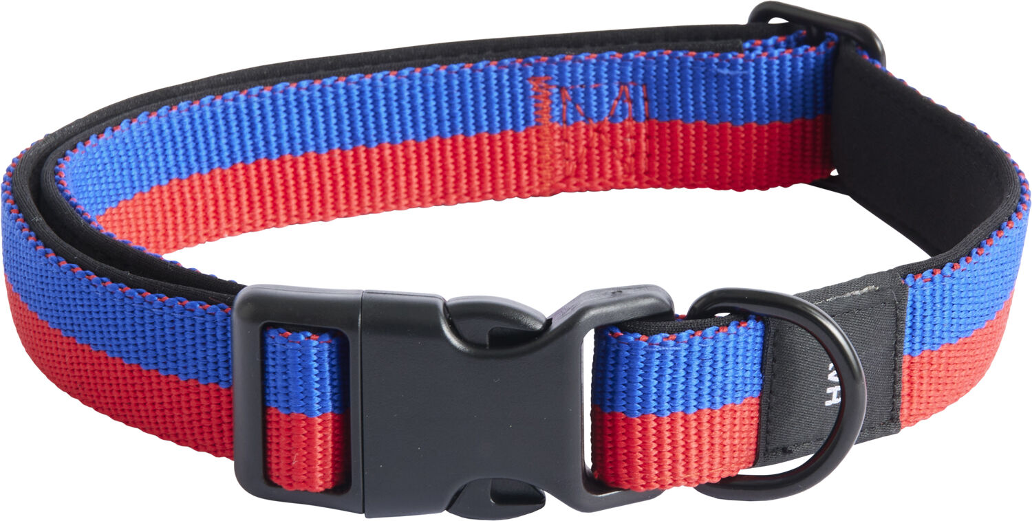 Blue top dog collar