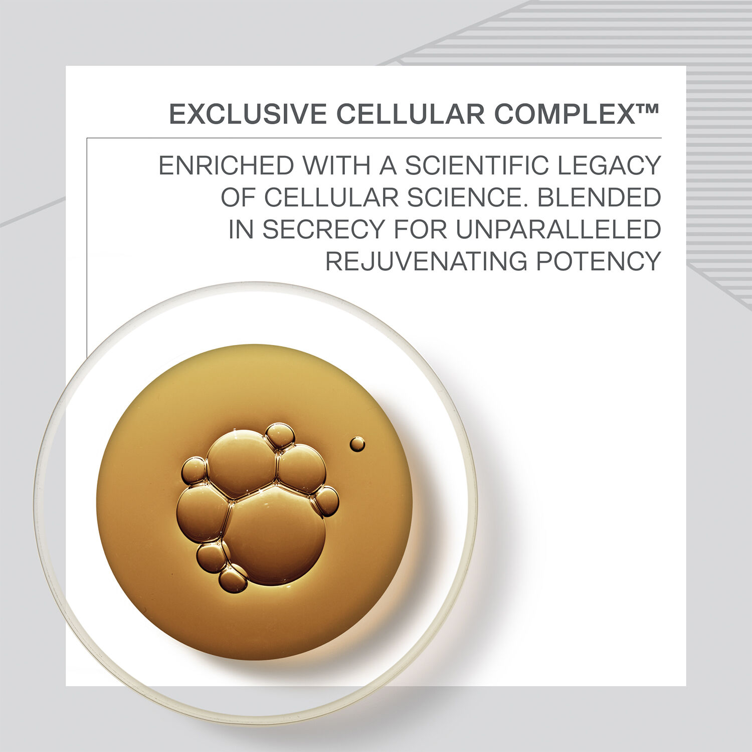 Essence of Skin Caviar Eye Complex