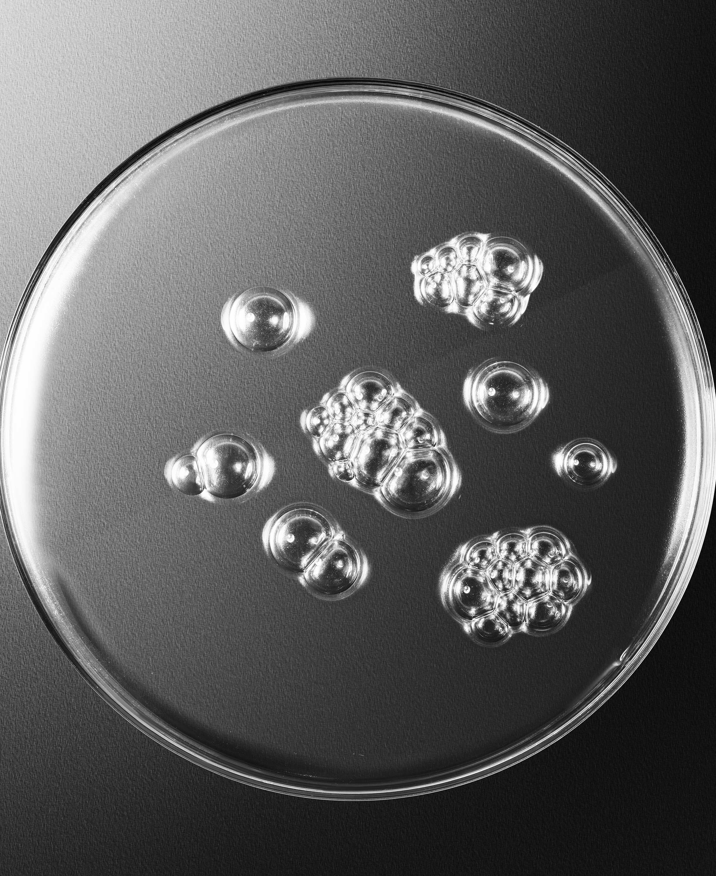 Sisle&yuml;um Revitalizing Toning Lotion