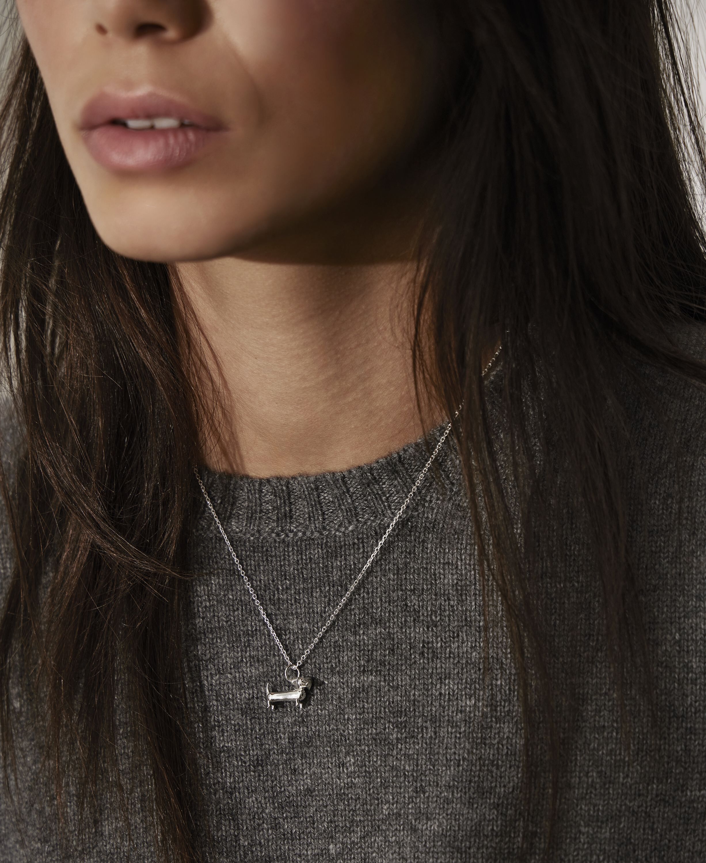 Gravhunden i s&oslash;lv uden k&aelig;de