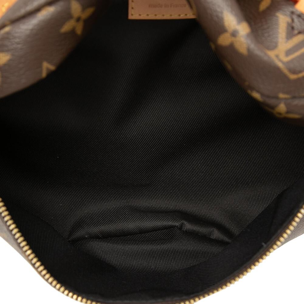 Louis Vuitton Bumbag