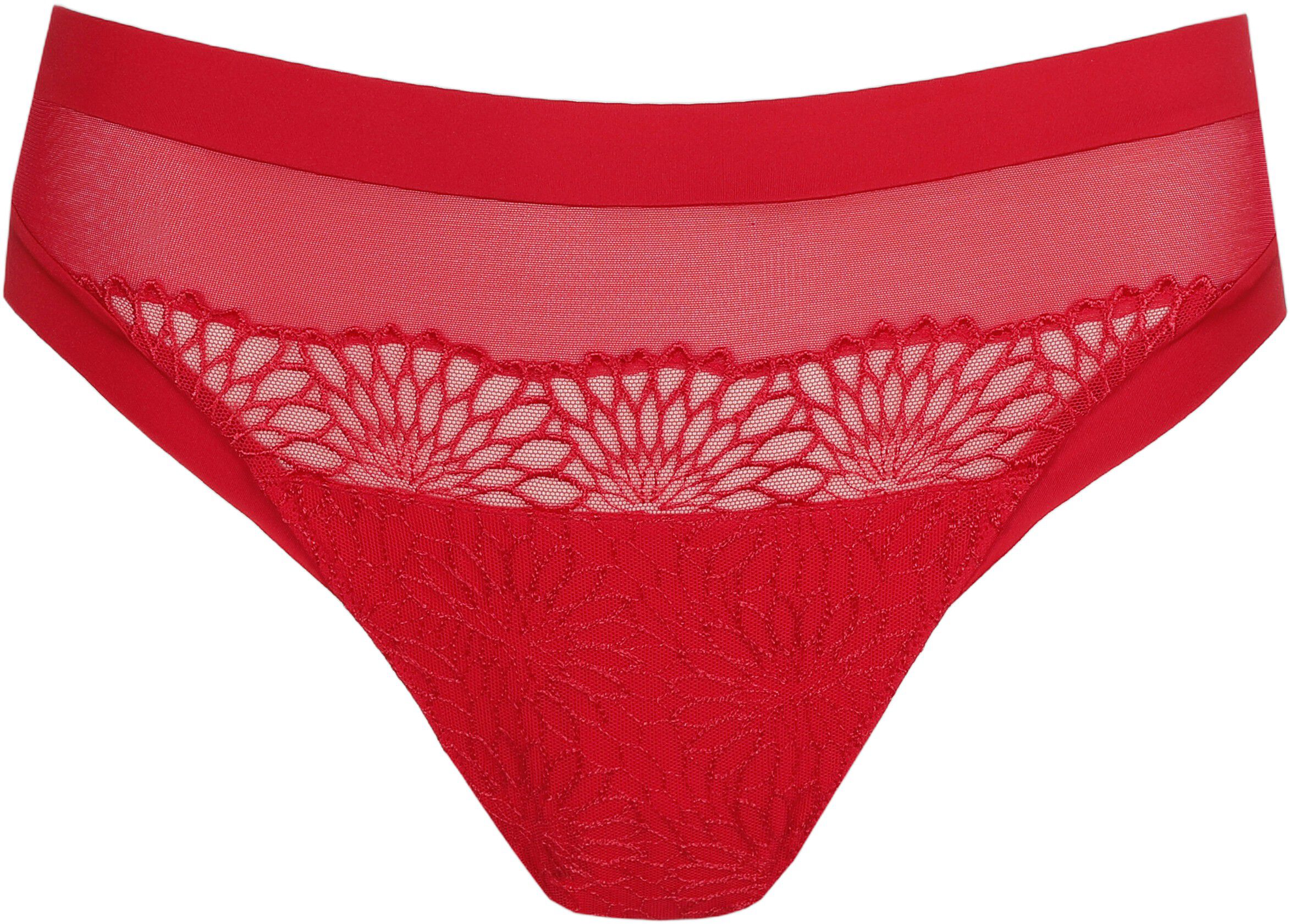 Sophora rio briefs