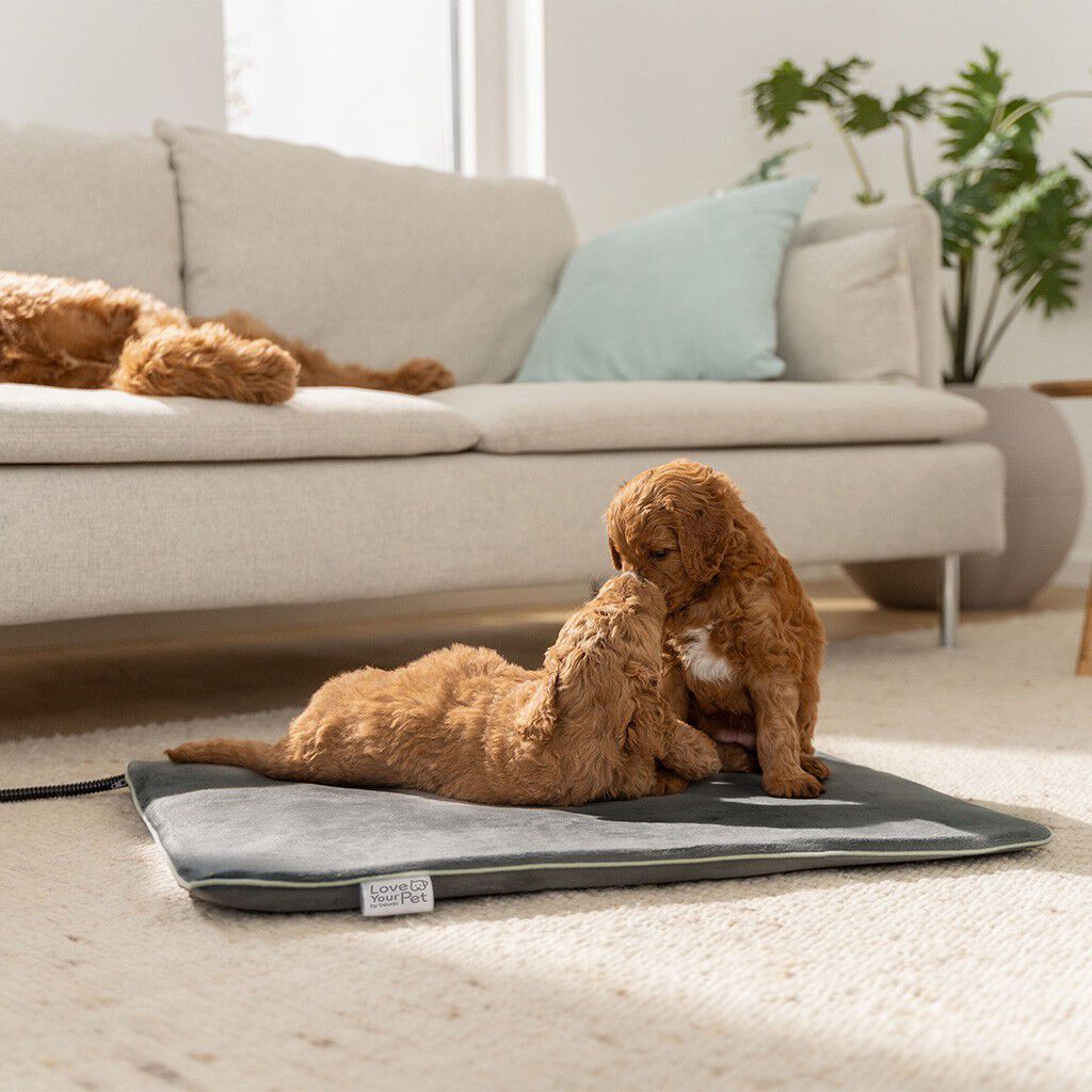 PetCare PP 220 Sammy V&auml;rmematta f&ouml;r husdjur 65x50 cm