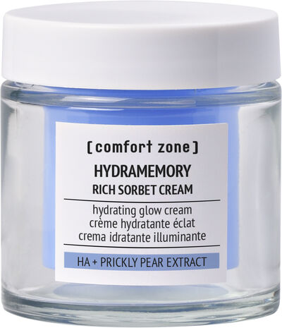 Hydramemory Rich Sorbet Cream