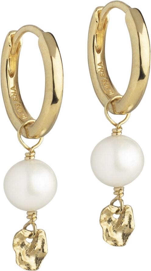Hoops, Cara