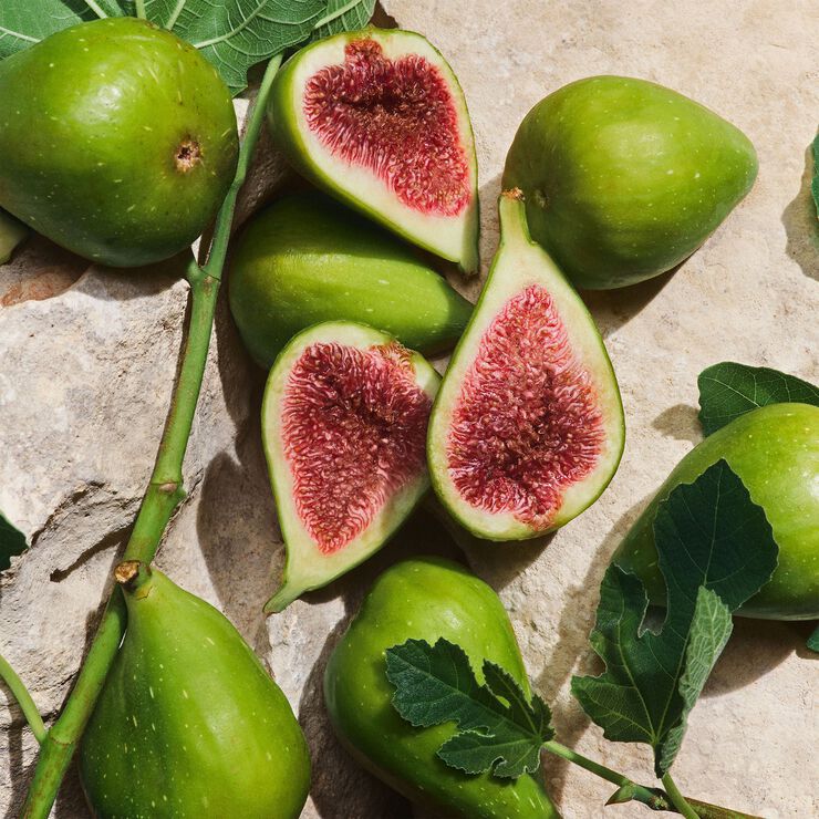 Light Blue Capri In Love Pour Homme Eau de Parfum