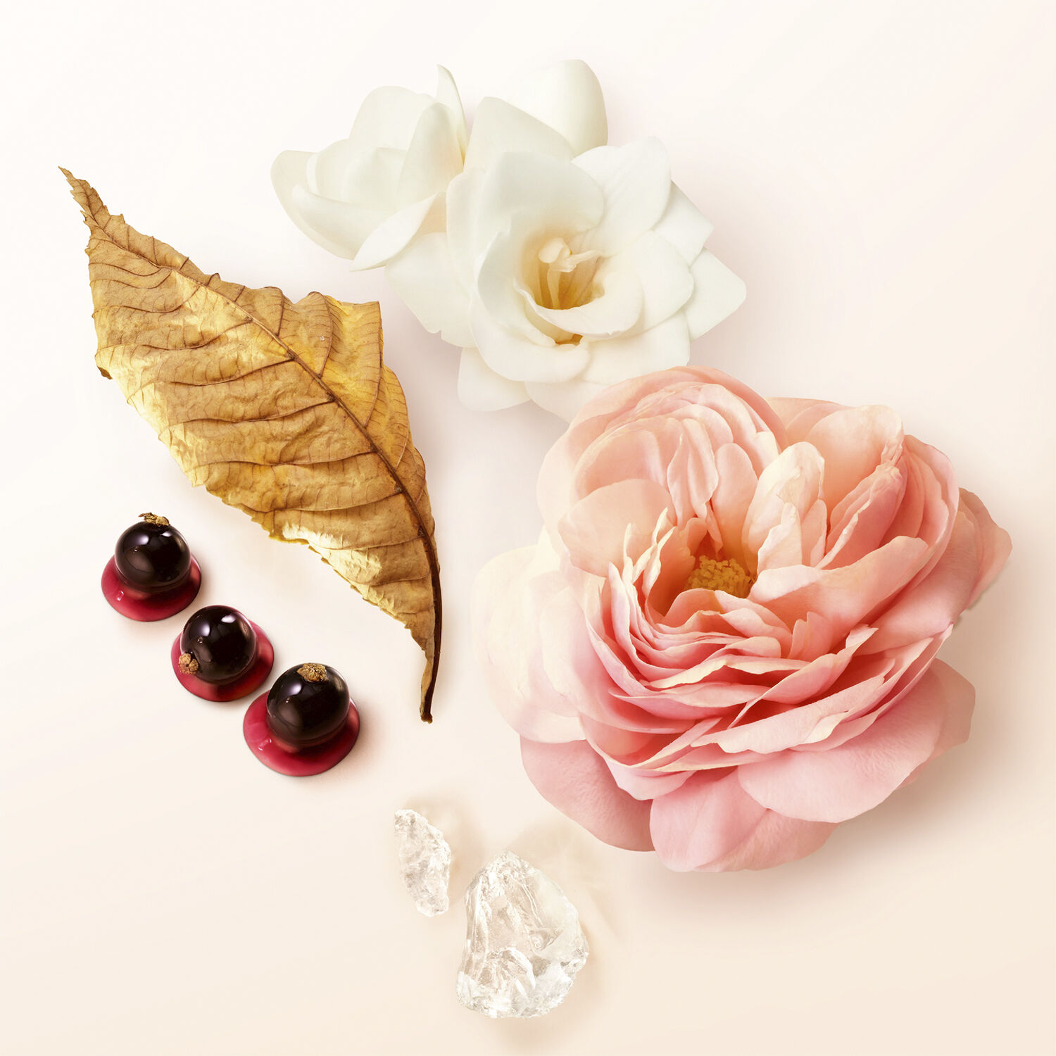 S&igrave; Eau de Parfum