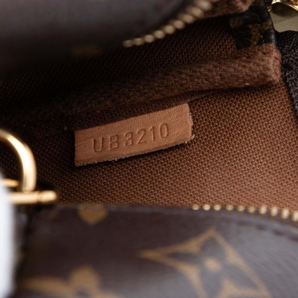 Louis Vuitton Pochette Accessoires