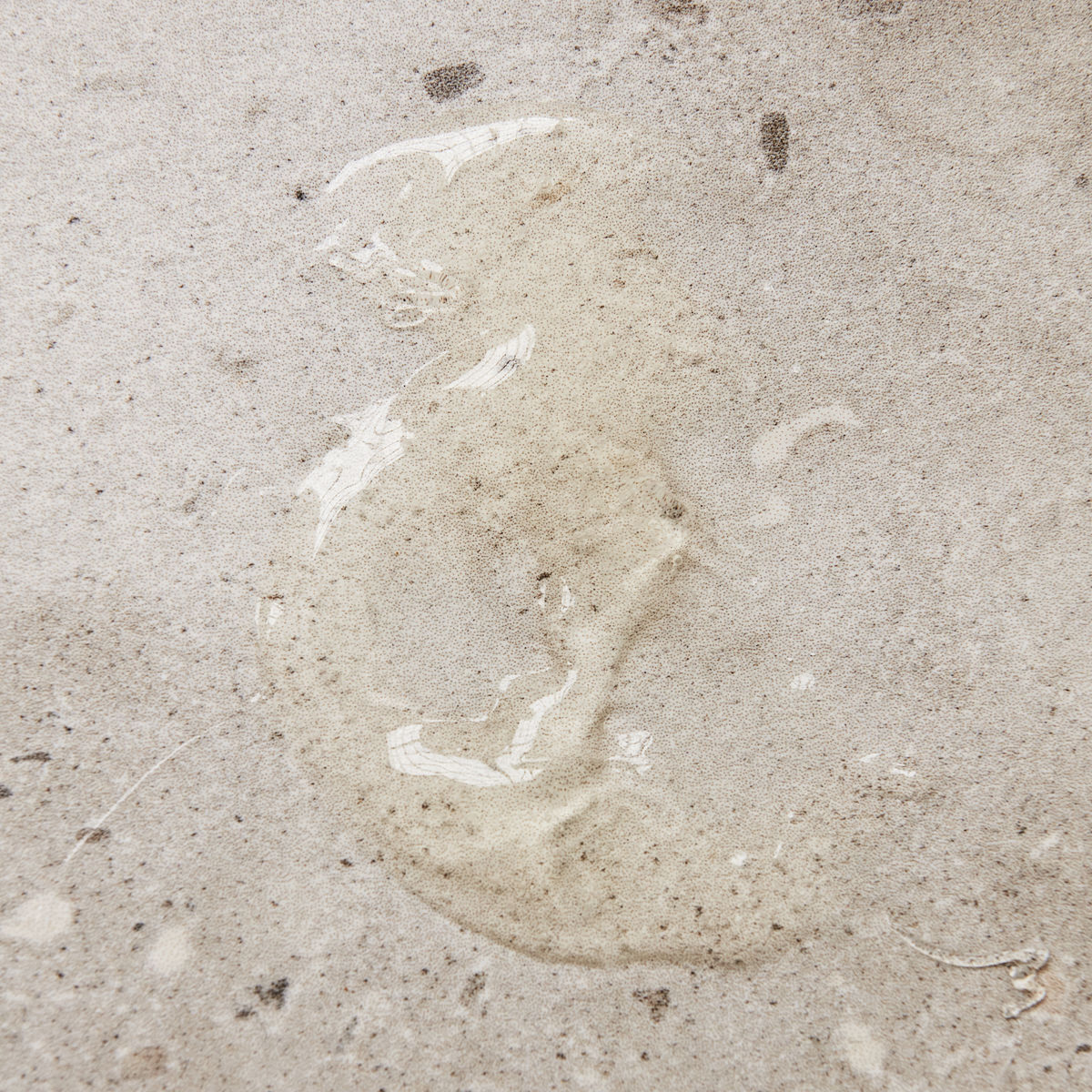 Handtv&aring;l, Meadow bliss