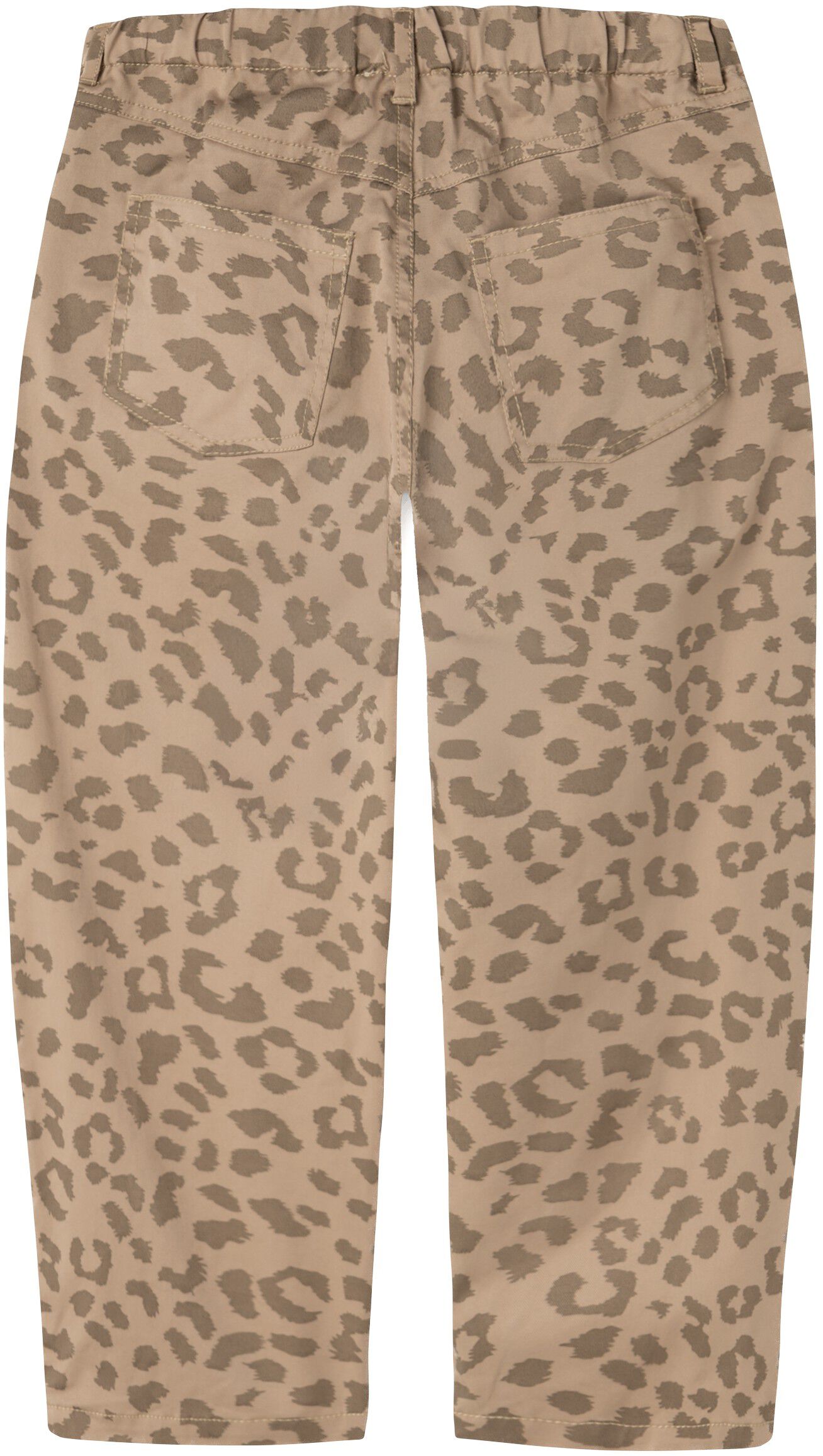 Pando