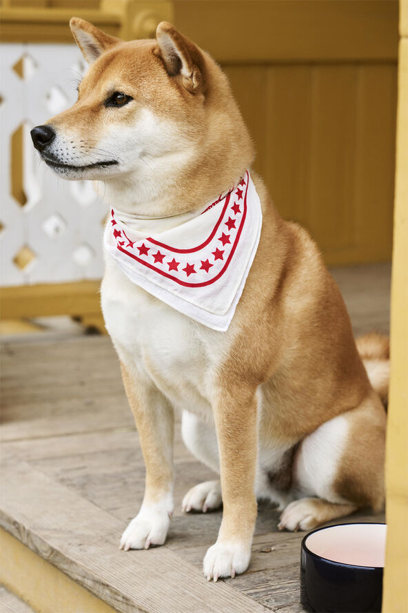 HAY Dogs Scarf-55 x 55-Off-white