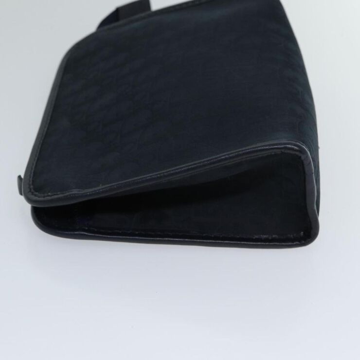Dior Clutch