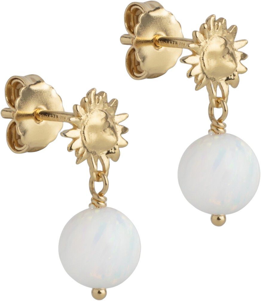 Earrings, Daystar Globe