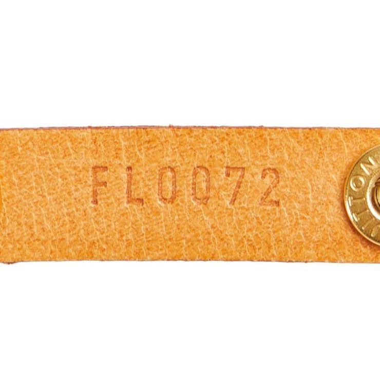 Louis Vuitton Florentine Pochette