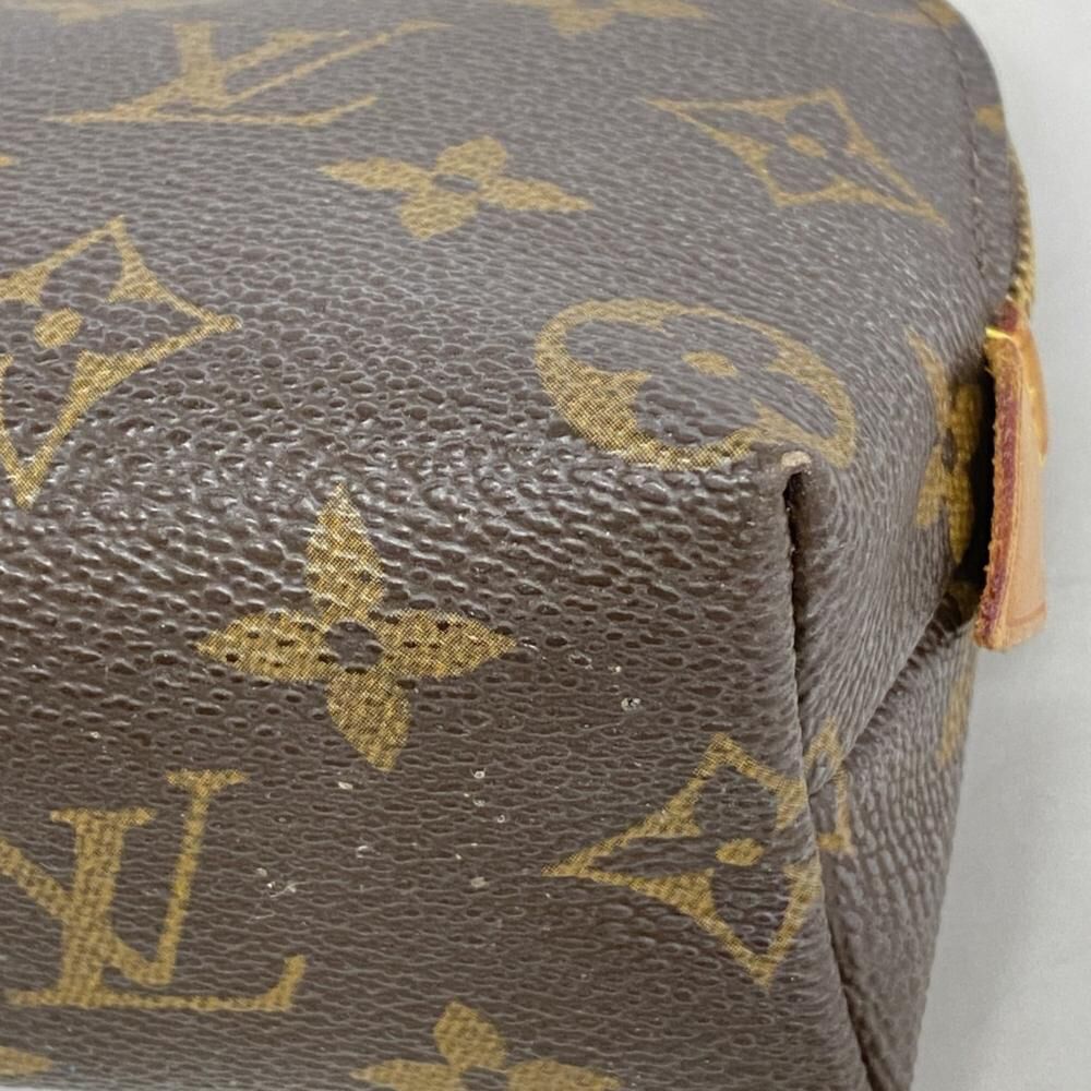 Louis Vuitton Pouch