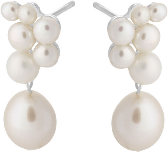 Ocean Treasure Earsticks