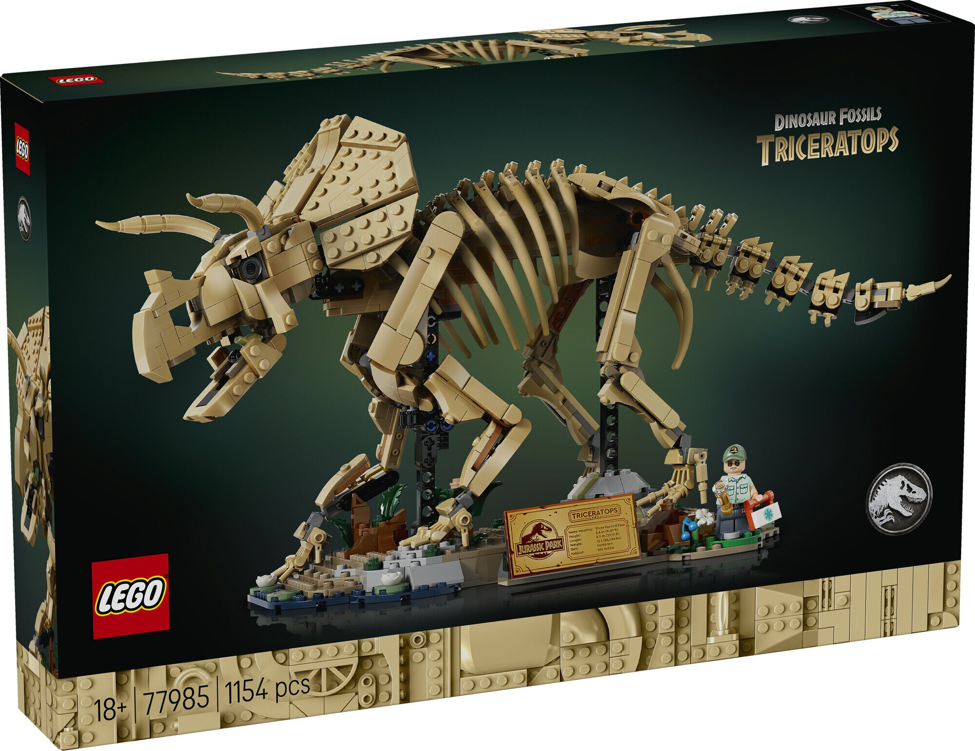 Dinosaurfossiler - Triceratops 77985
