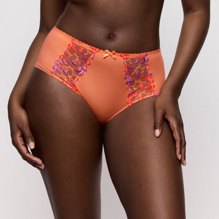 Devdaha full briefs