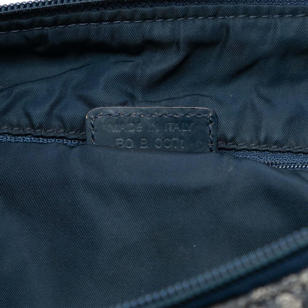 Dior Crossbody Bag