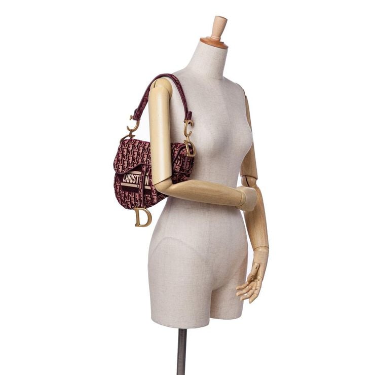 Dior Saddle Bag