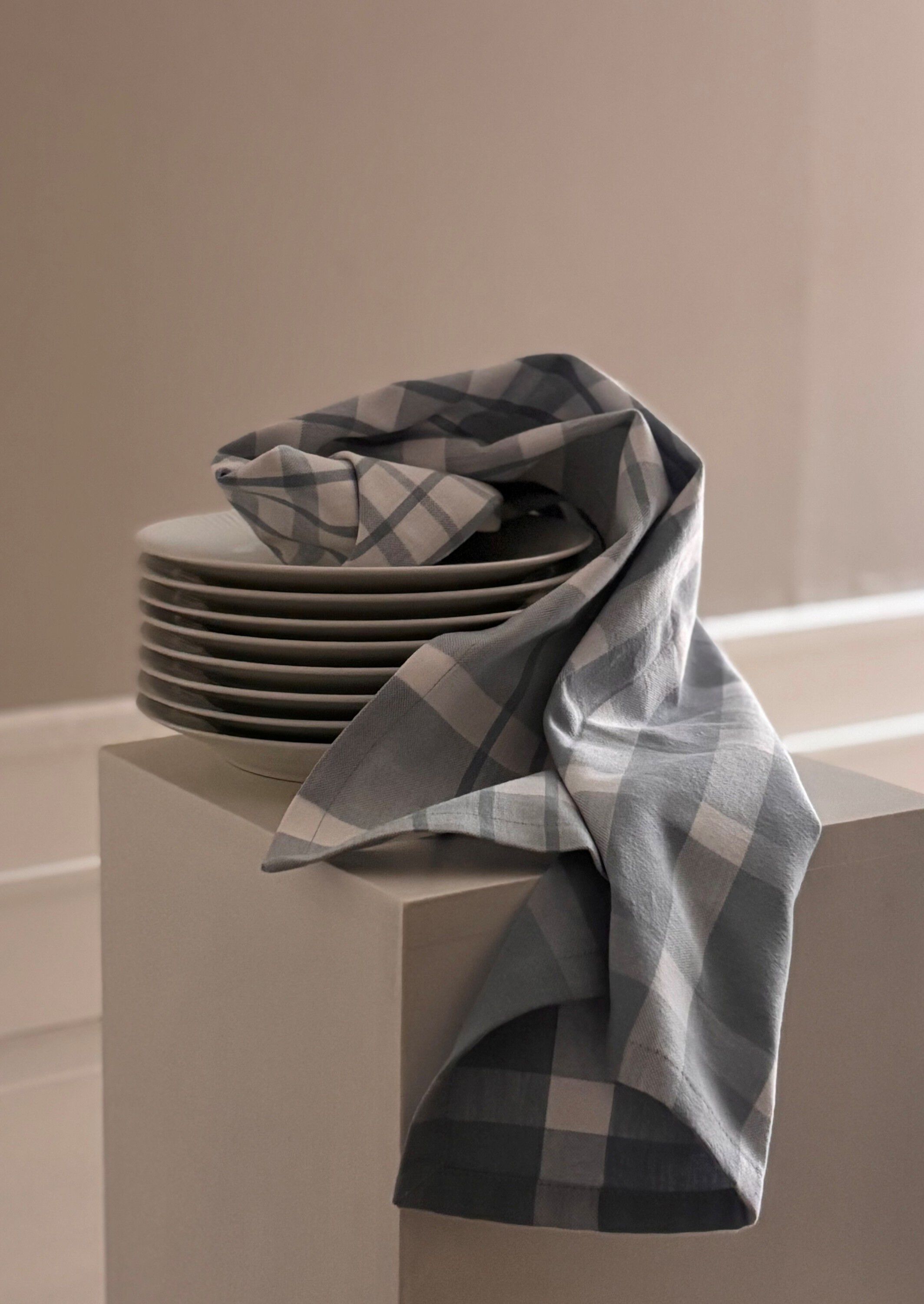 Tea Towels 50x70 cm ENZO - Check light blue