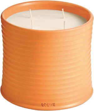 LOEWE Large Orange Bloss Candle