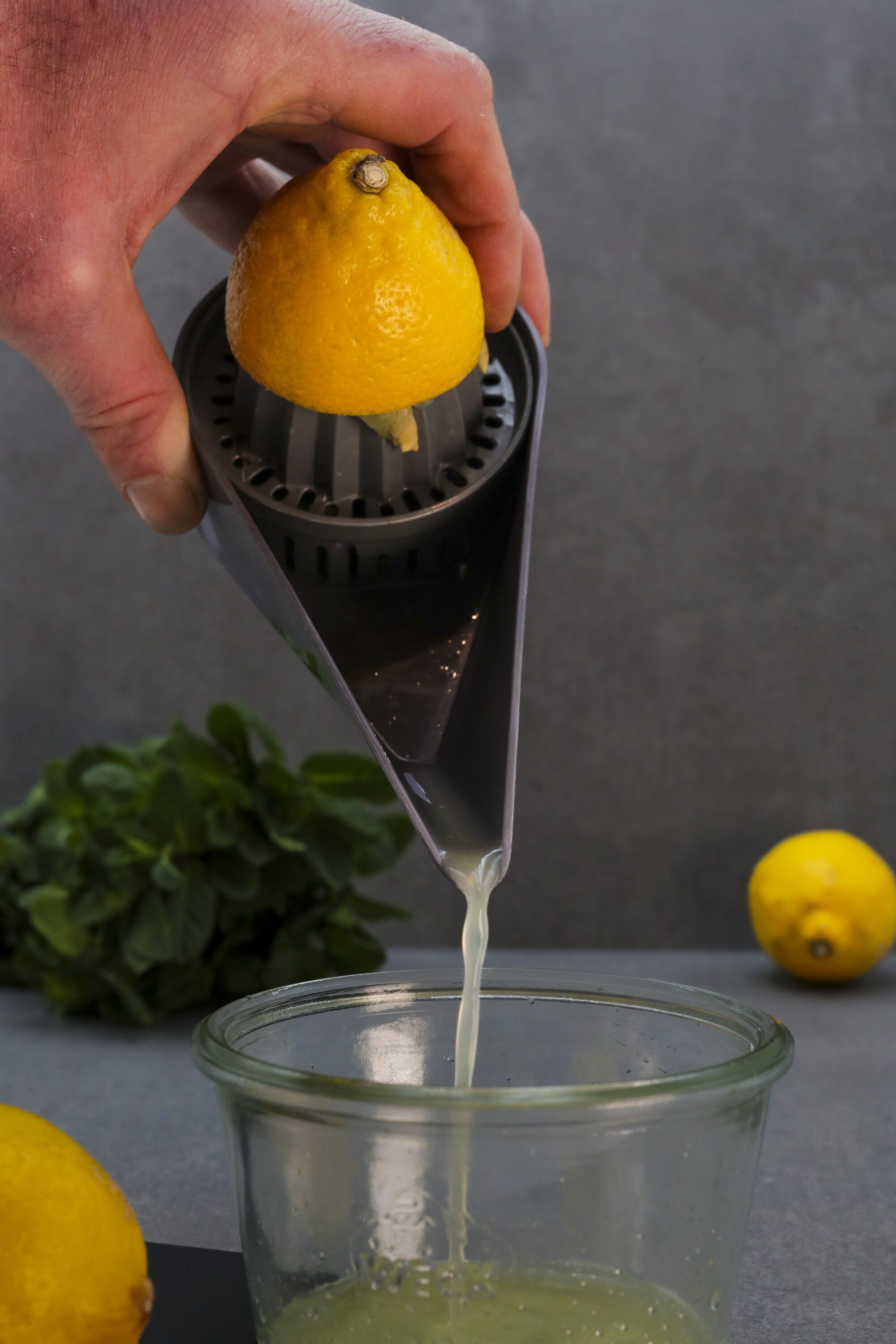 Press gr&aring; citruspresser - PLA