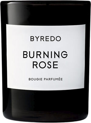 FC Burning Rose